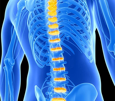 La ciencia del soporte espinal: cómo Xianku evalúa la escoliosis, la inclinación pélvica y la pos...