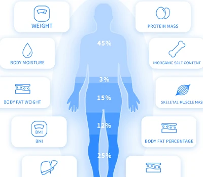 Más allá de la escala: inbody vs xianku3d - La batalla por el cuerpo de la visión del cuerpo en l...